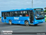 Biguaçu Transportes Coletivos Administração e Participação 463 na cidade de Florianópolis, Santa Catarina, Brasil, por Gustavo  Bonfate. Número da foto: #13284894.