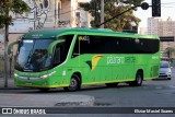 Pássaro Verde 16912 na cidade de Belo Horizonte, Minas Gerais, Brasil, por Eliziar Maciel Soares. Número da foto: #13283976.
