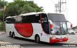 RW Turismo 1350 na cidade de São Paulo, São Paulo, Brasil, por George Miranda. Número da foto: #13284343.
