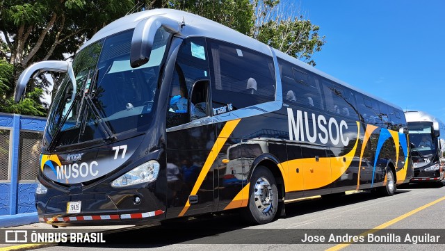 Musoc 77 na cidade de Cartago, Costa Rica, por Jose Andres Bonilla Aguilar. Número da foto: #13286190.