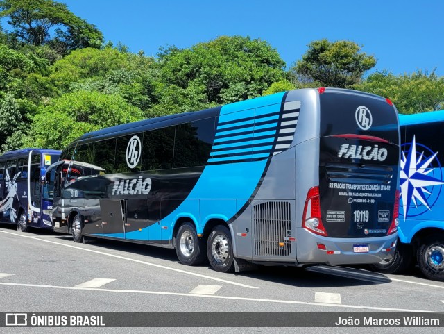 Falcão Transportes 19119 na cidade de Aparecida, São Paulo, Brasil, por João Marcos William. Número da foto: #13287518.
