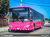 Topsa 36 na cidade de El Roble, Puntarenas, Puntarenas, Costa Rica, por Sebas Gamboa. Número da foto: #13285472.