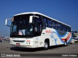 Transportadora Águia Real 1656 na cidade de São Paulo, São Paulo, Brasil, por Hipólito Rodrigues. Número da foto: #13286346.
