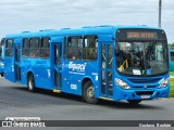 Biguaçu Transportes Coletivos Administração e Participação 1208 na cidade de Florianópolis, Santa Catarina, Brasil, por Gustavo  Bonfate. Número da foto: #13286936.
