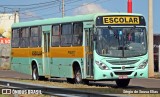 Viação Paraty 8017 na cidade de Araraquara, São Paulo, Brasil, por Sérgio de Sousa Elias. Número da foto: #13287503.