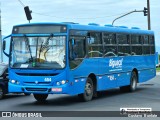 Biguaçu Transportes Coletivos Administração e Participação 454 na cidade de Florianópolis, Santa Catarina, Brasil, por Gustavo  Bonfate. Número da foto: #13286991.