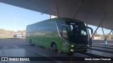 Albus A46506 na cidade de Neuquén, Confluencia, Neuquén, Argentina, por Simón Aluhe Choiman. Número da foto: #13285783.