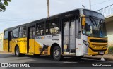 Sancetur - Sou São Carlos 25558 na cidade de São Carlos, São Paulo, Brasil, por Thales Fernando. Número da foto: #13286210.