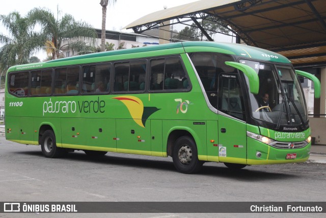 Pássaro Verde 11100 na cidade de Coimbra, Minas Gerais, Brasil, por Christian  Fortunato. Número da foto: #13287855.