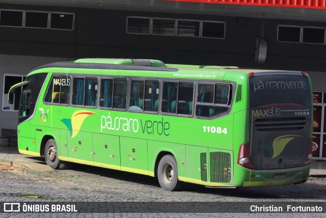 Pássaro Verde 11084 na cidade de Manhuaçu, Minas Gerais, Brasil, por Christian  Fortunato. Número da foto: #13287865.