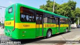 Transportes Capellini 12351 na cidade de Paulínia, São Paulo, Brasil, por Allan Henrique. Número da foto: #13287781.