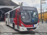 Suzantur Ribeirão Pires 856 na cidade de Ribeirão Pires, São Paulo, Brasil, por Fabrício Portella Matos. Número da foto: #13288624.