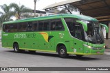 Pássaro Verde 11100 na cidade de Coimbra, Minas Gerais, Brasil, por Christian  Fortunato. Número da foto: #13287855.