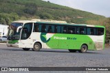 Pássaro Verde 29015 na cidade de Manhuaçu, Minas Gerais, Brasil, por Christian  Fortunato. Número da foto: #13287867.