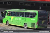 Pássaro Verde 11084 na cidade de Manhuaçu, Minas Gerais, Brasil, por Christian  Fortunato. Número da foto: #13287865.