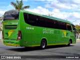 Pássaro Verde 18916 na cidade de Barbacena, Minas Gerais, Brasil, por Anderson José. Número da foto: #13288329.