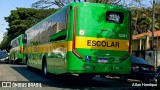 Transportes Capellini 12351 na cidade de Paulínia, São Paulo, Brasil, por Allan Henrique. Número da foto: #13287782.
