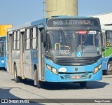 Vereda Transporte Ltda. 13116 na cidade de Vila Velha, Espírito Santo, Brasil, por Sergio Corrêa. Número da foto: #13288343.