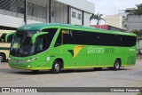 Pássaro Verde 16910 na cidade de Ubá, Minas Gerais, Brasil, por Christian  Fortunato. Número da foto: #13287869.