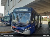 Transportes Capellini 19.178 na cidade de Sumaré, São Paulo, Brasil, por Murilo Lima. Número da foto: #13288069.