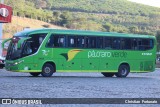 Pássaro Verde 11100 na cidade de Manhuaçu, Minas Gerais, Brasil, por Christian  Fortunato. Número da foto: #13287861.
