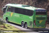 Pássaro Verde 16901 na cidade de Coimbra, Minas Gerais, Brasil, por Christian  Fortunato. Número da foto: #13287870.