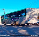 Viação Nossa Senhora Conquistadora 553 na cidade de Pelotas, Rio Grande do Sul, Brasil, por Busólogo Ribeiro. Número da foto: #:id.