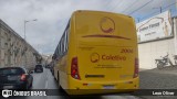 Coletivo Transportes 2006 na cidade de Caruaru, Pernambuco, Brasil, por Leon Oliver. Número da foto: #13288159.