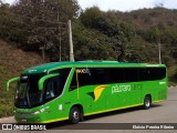 Pássaro Verde 16911 na cidade de Ouro Preto, Minas Gerais, Brasil, por Eloísio Pereira Ribeiro. Número da foto: #13288414.