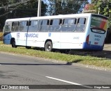 Transcal Sul Transportes Coletivos 24183 na cidade de Porto Alegre, Rio Grande do Sul, Brasil, por Diego Soares. Número da foto: #13287907.