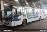 São Cristóvão Transportes 41160 na cidade de Belo Horizonte, Minas Gerais, Brasil, por Edmar Junio. Número da foto: #13289751.